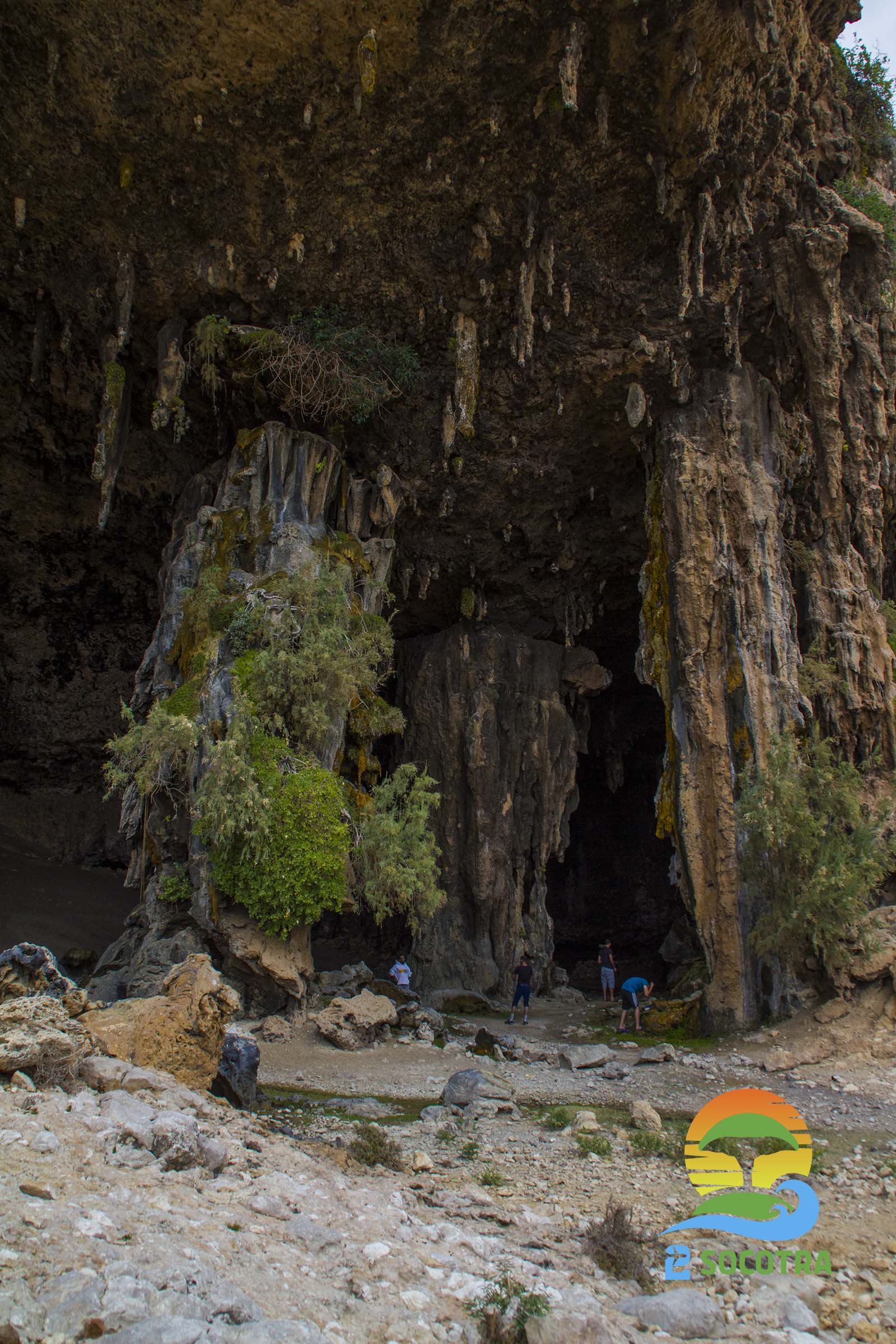 Inside Dagub cave , Noged, Socotra Island