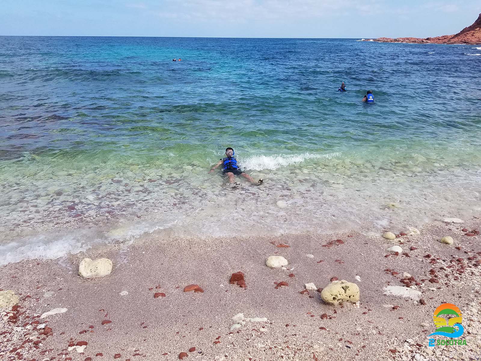 Snorkeling and diving to see the colorful fish, Dihamri Marine Protected Area, Socotra Island
