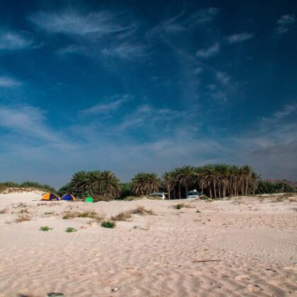 Aomak Beach-Palm tree - Camp - Cars - Socotra