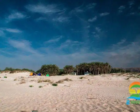 Aomak Beach-Palm tree - Camp - Cars - Socotra