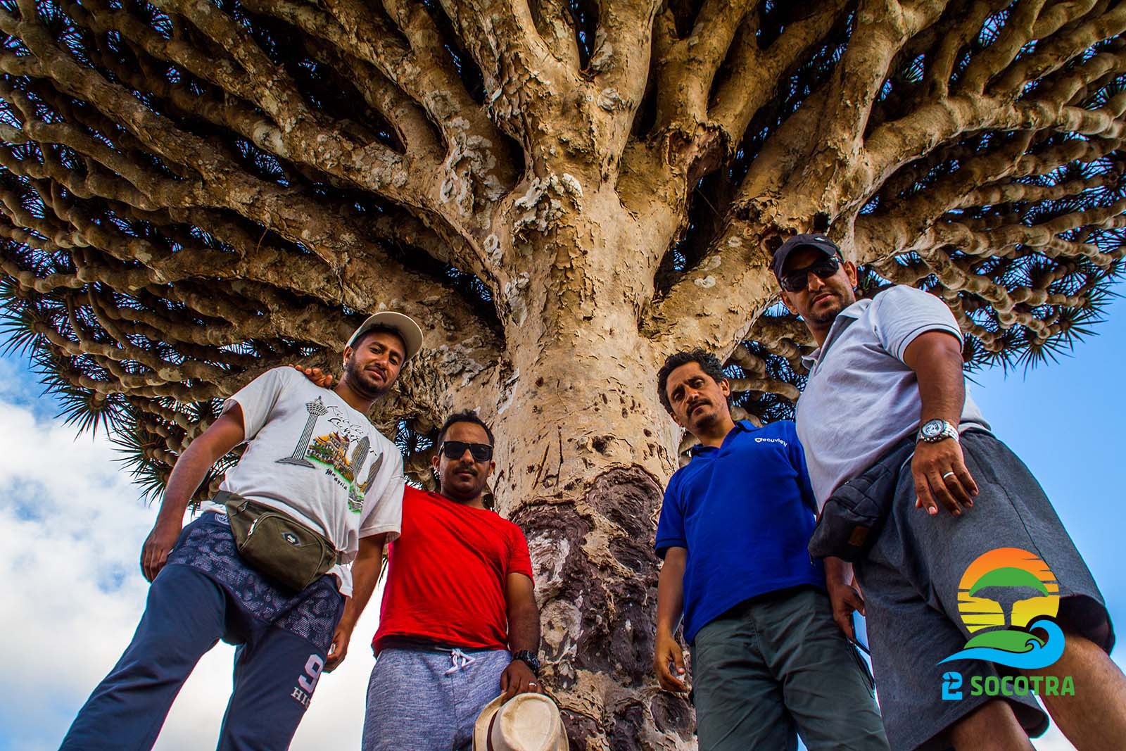 Tourists under a Dragon’s blood tree, Diksam plateau, Socotra Island