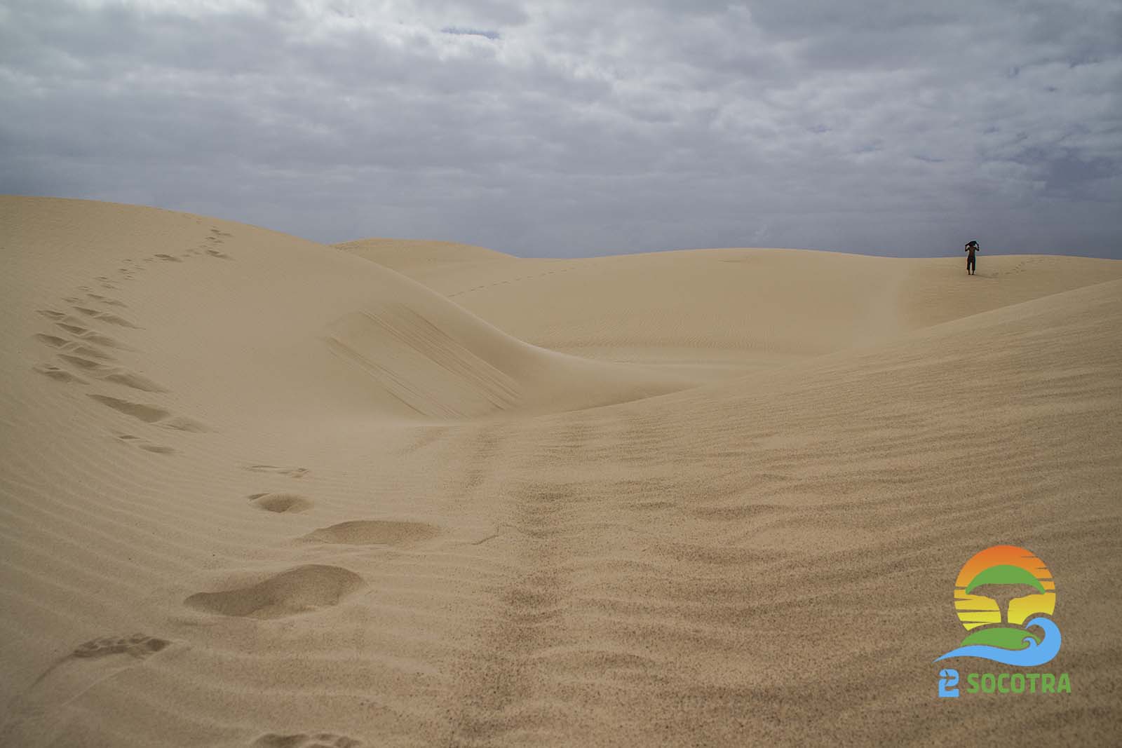 Zahik and Hayf Dunes Desert sand , Noged, Socotra Island