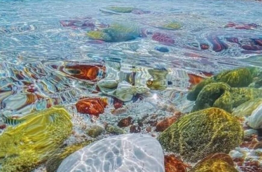 Colorful stones, Dihamri Marine Protected Area, Socotra Island