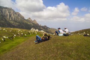 11 Days | Private Tour | Explore Socotra Island | (Oct 2024 – May 2025) – Early Reservation Price