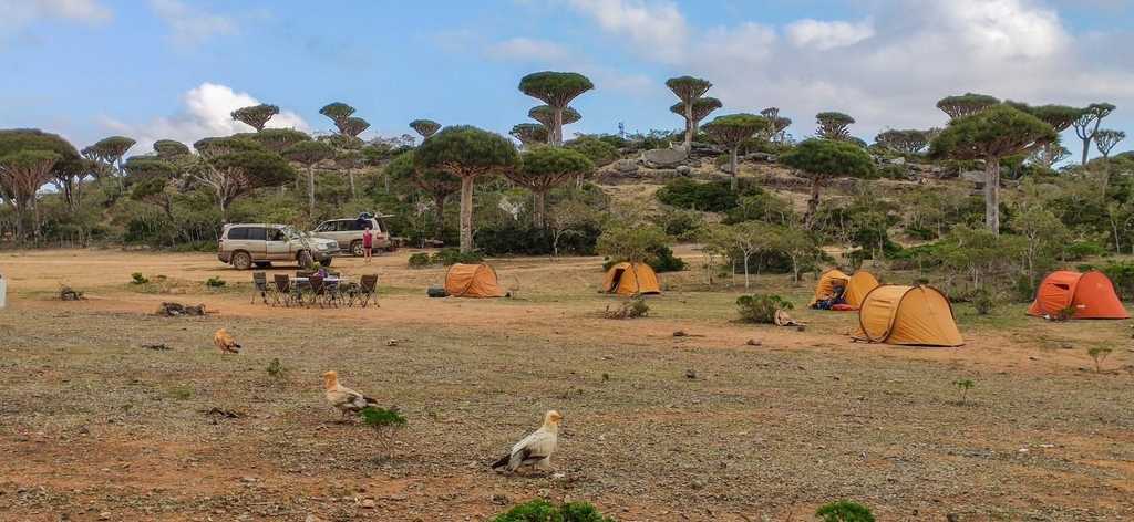 Camping at Firmhin Forest Plateau 