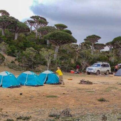 Camping at Firmhin Forest Plateau Socotra Island