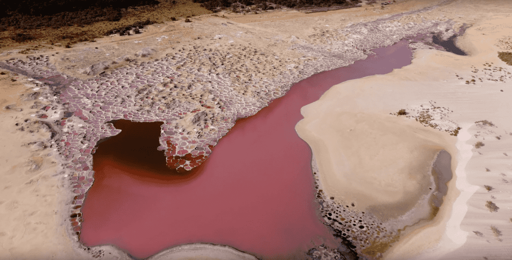 Drone Exploration The Salt Mines of Socotra Island