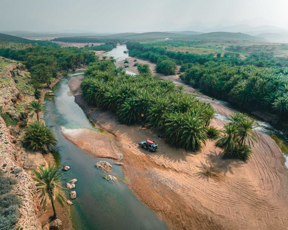 Drone Perspective Palm Tree Oasis in Socotra