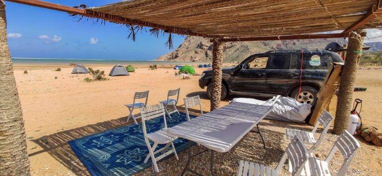 IMG_20230108_115248 (1)