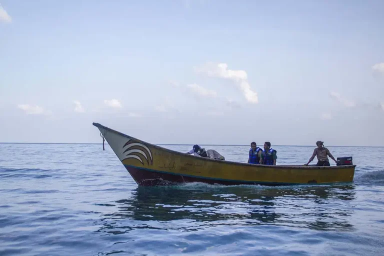 boat-trips-socotra-island-2socotra
