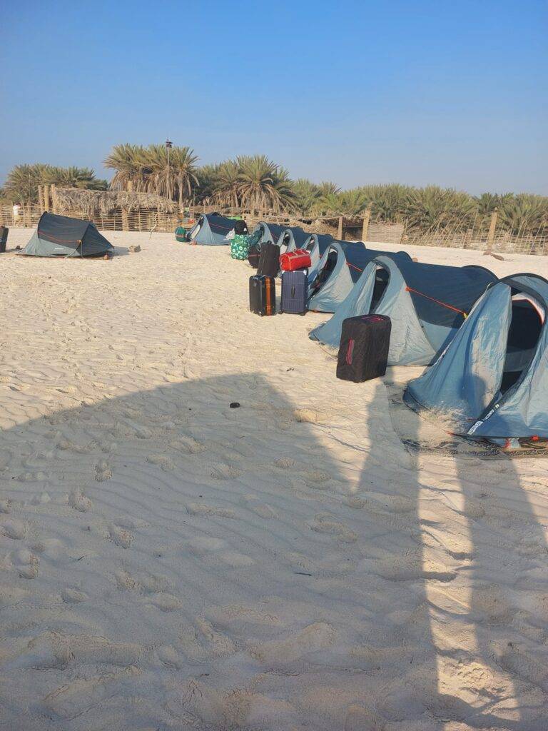 Row of camping tents with luggage in Socotra